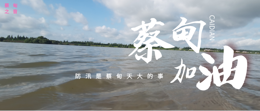 蔡甸區(qū)啟動(dòng)防汛ⅰ級(jí)應(yīng)急響應(yīng)，做好鋪土釘防汛木樁工作