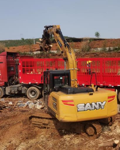 松木原木、松木條，漲勢如虹，現(xiàn)在搶購最劃算(附松木原木供應廠家介紹)