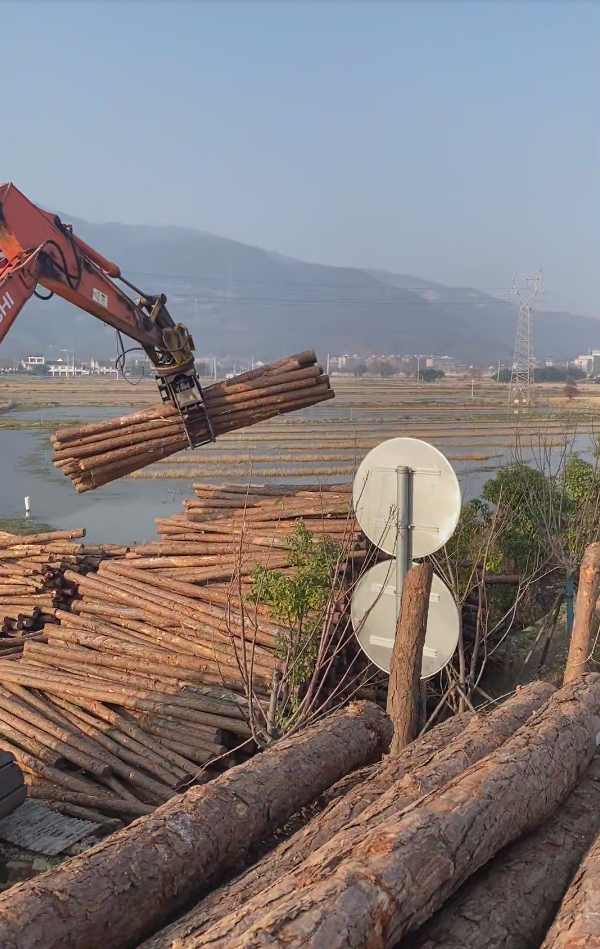 深圳松木樁施工專家-平原松木樁施工優(yōu)勢？