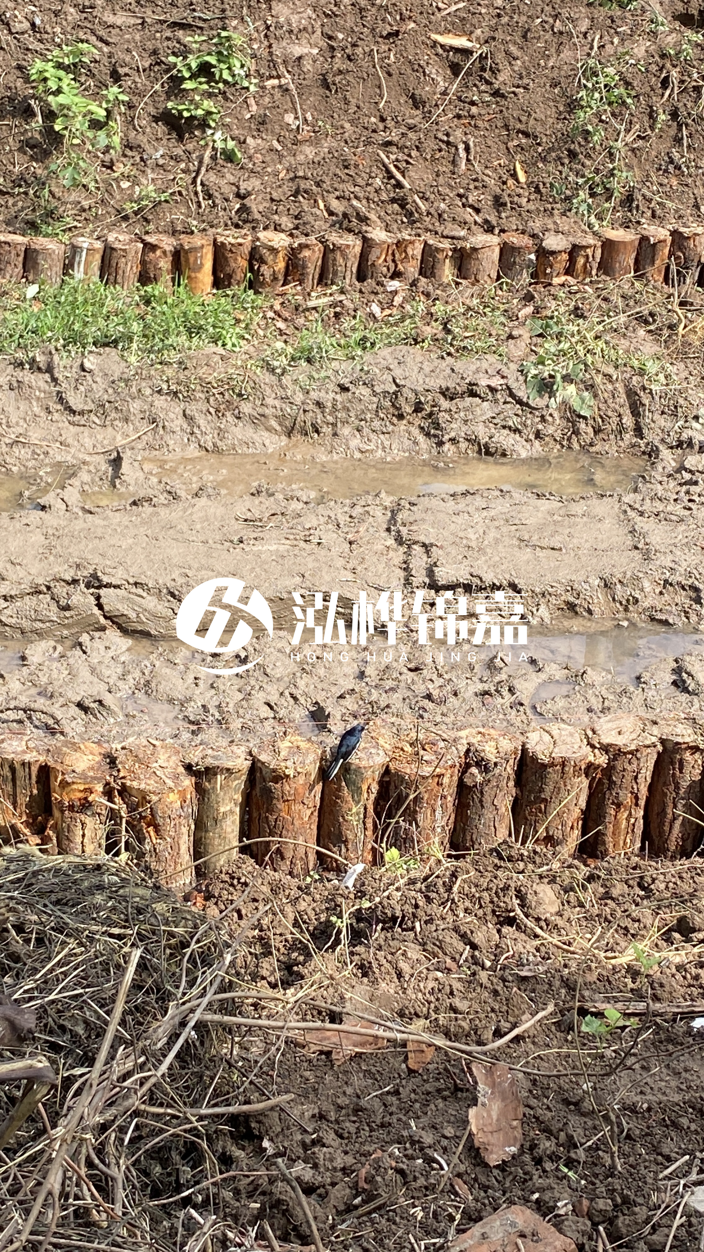 寧波河道清淤專業(yè)施工-治理河道對于老百姓有什么意義？