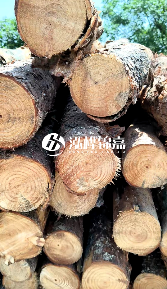 周口挖機打木樁專業(yè)施工-杉木樁施工打樁怎么打？