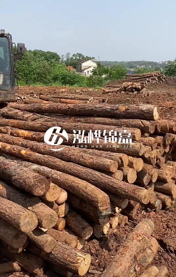 荊州挖機打木樁專業(yè)施工-河道打樁木被水浸泡后會不會變形嚴重？