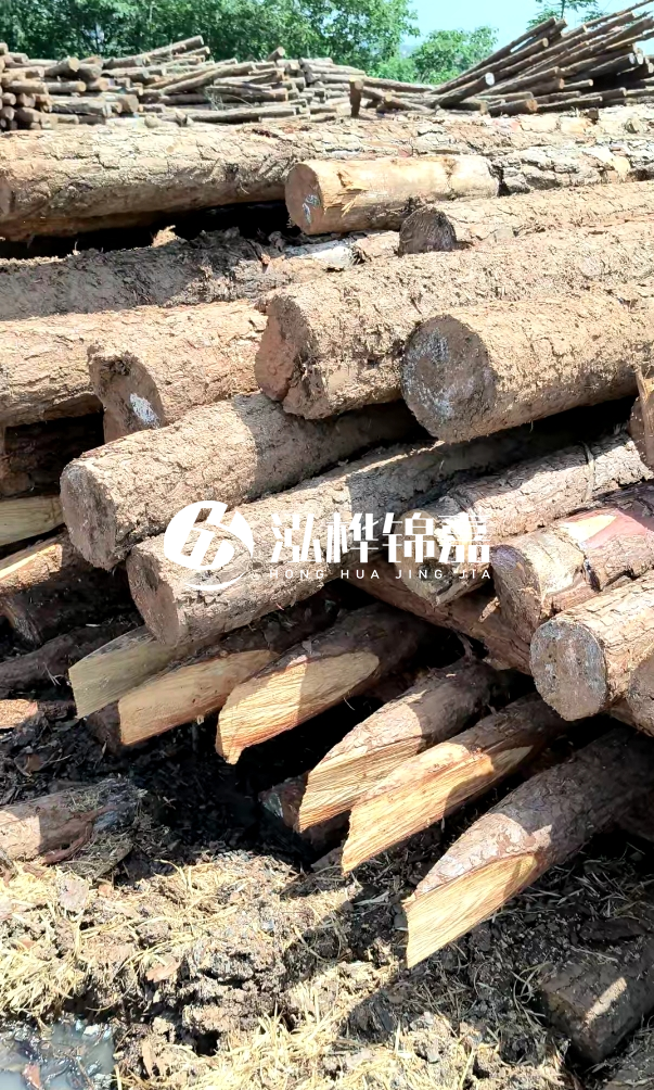 荊門挖機打木樁專業(yè)施工-河道打木樁前是否要清理河道底部雜物？