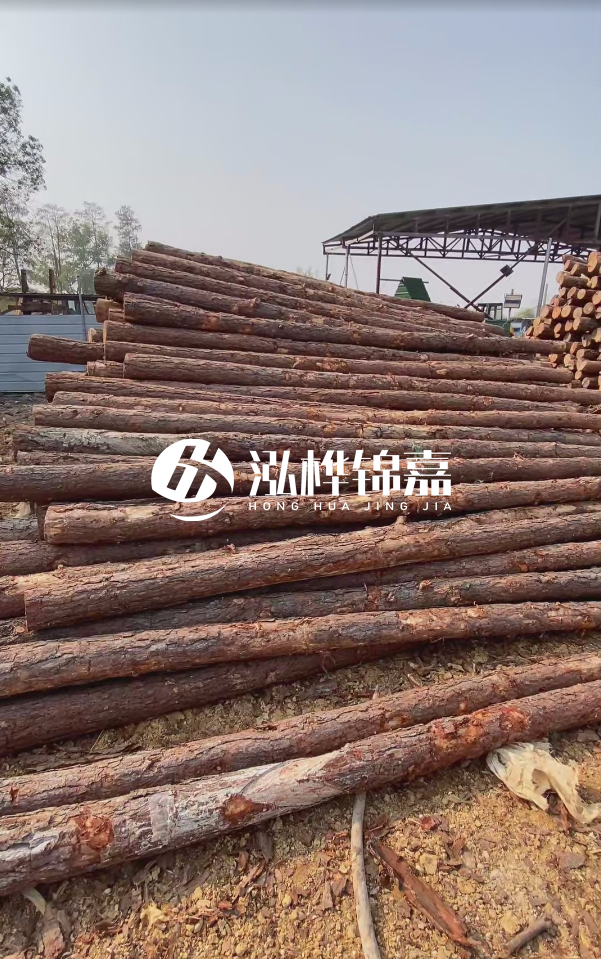 岳陽松木樁源頭廠家-河道木樁護岸能否抵御洪水沖擊？