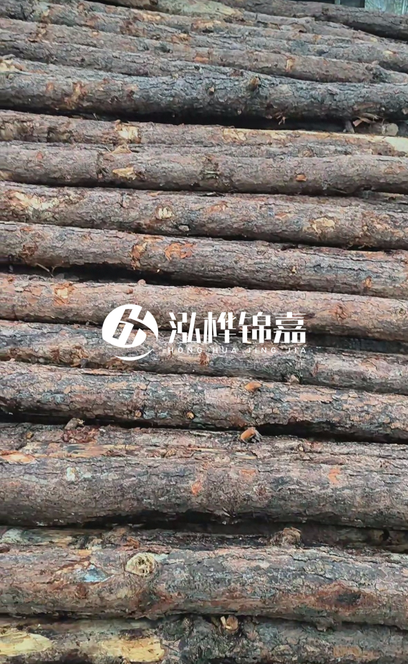 陽(yáng)江松木樁源頭廠家-哪一種打樁木最便宜？