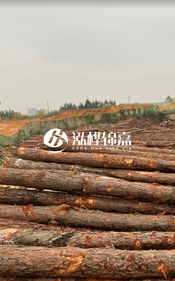 攀枝花松木樁源頭廠家-河道松木樁廠家聯(lián)系方式？