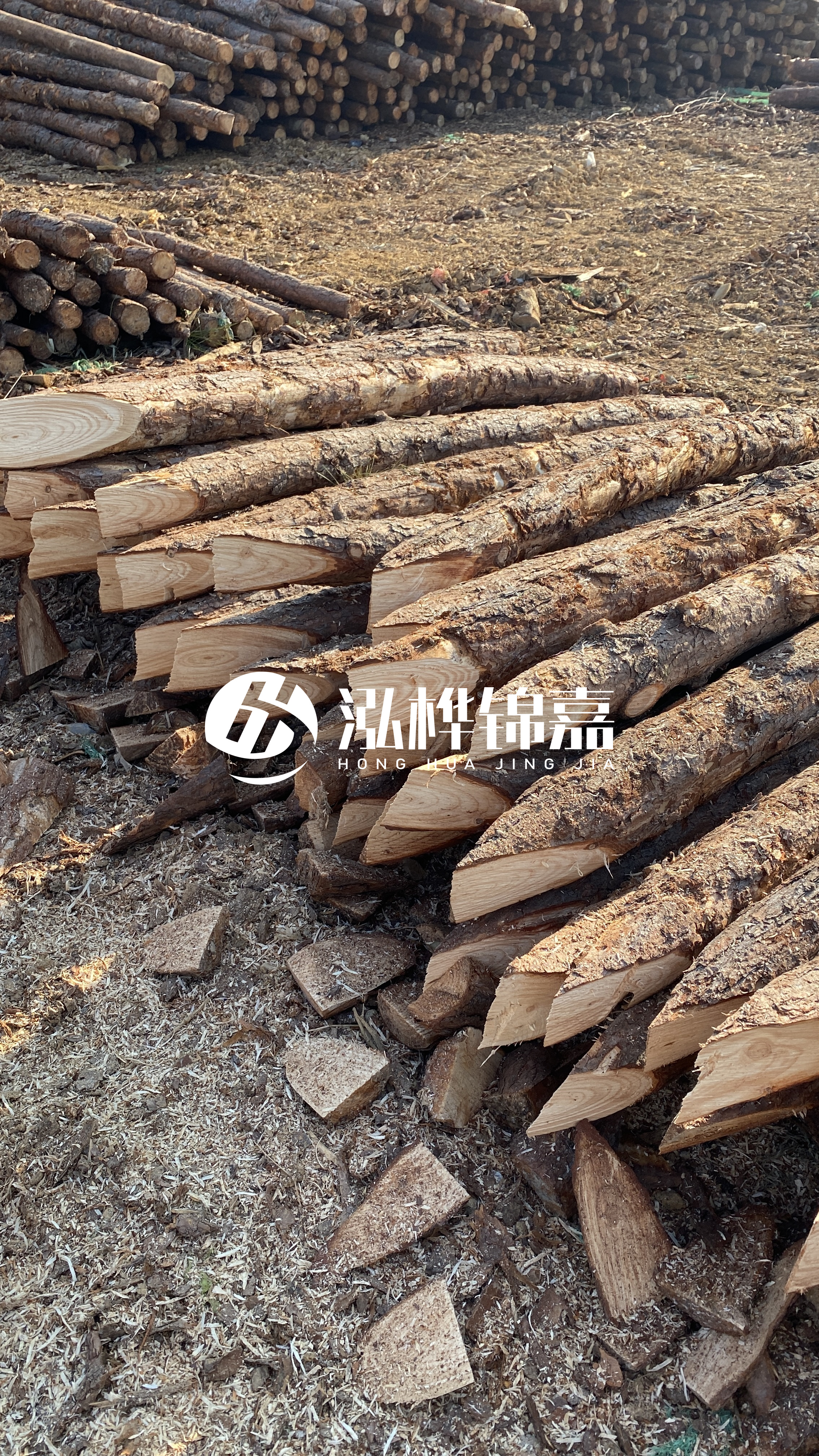 普洱松木樁源頭廠家-油松打樁木的抗壓強(qiáng)度是多少？