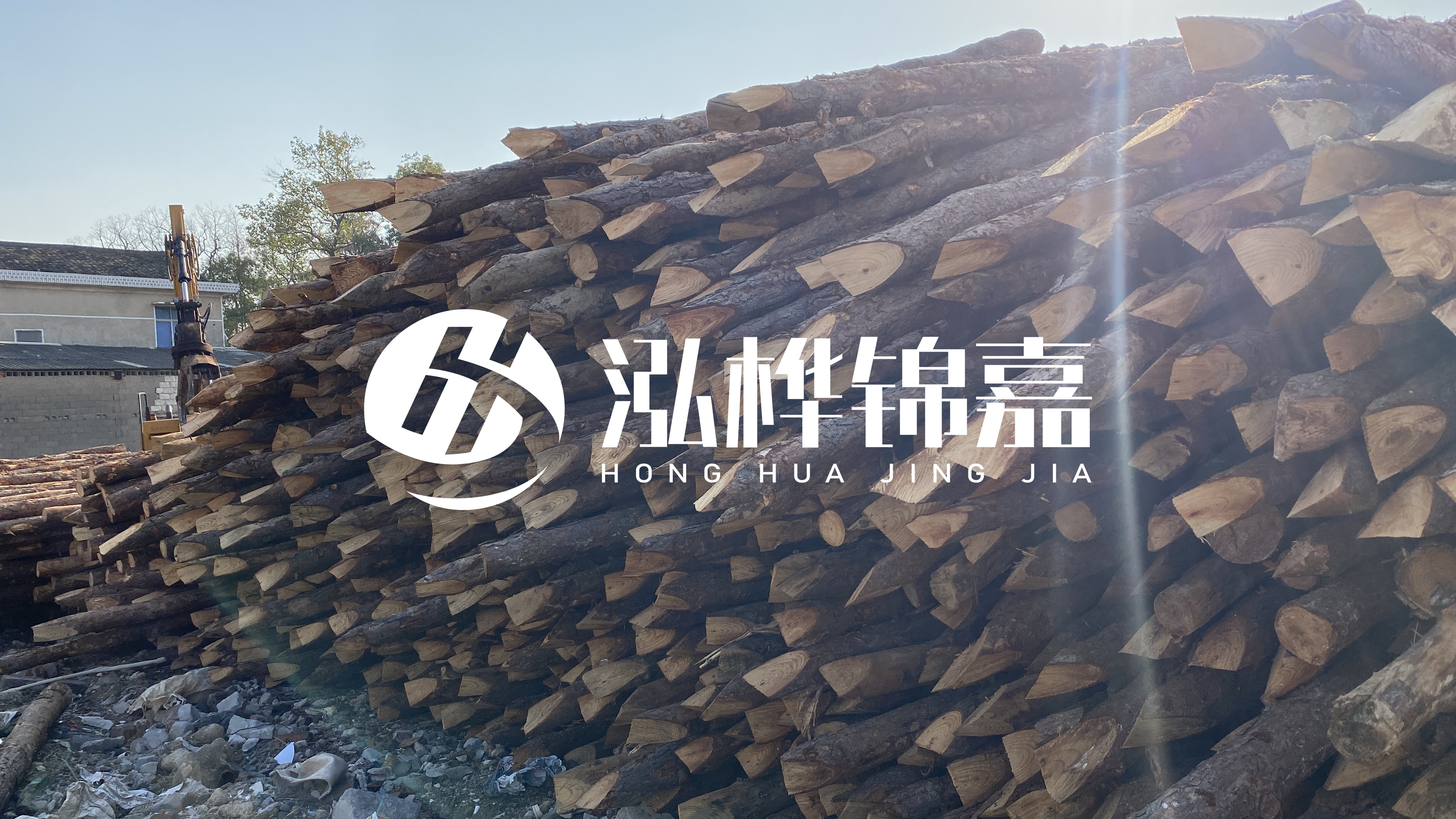 麗江松木樁源頭廠家-地基打松木樁的能撐幾年？