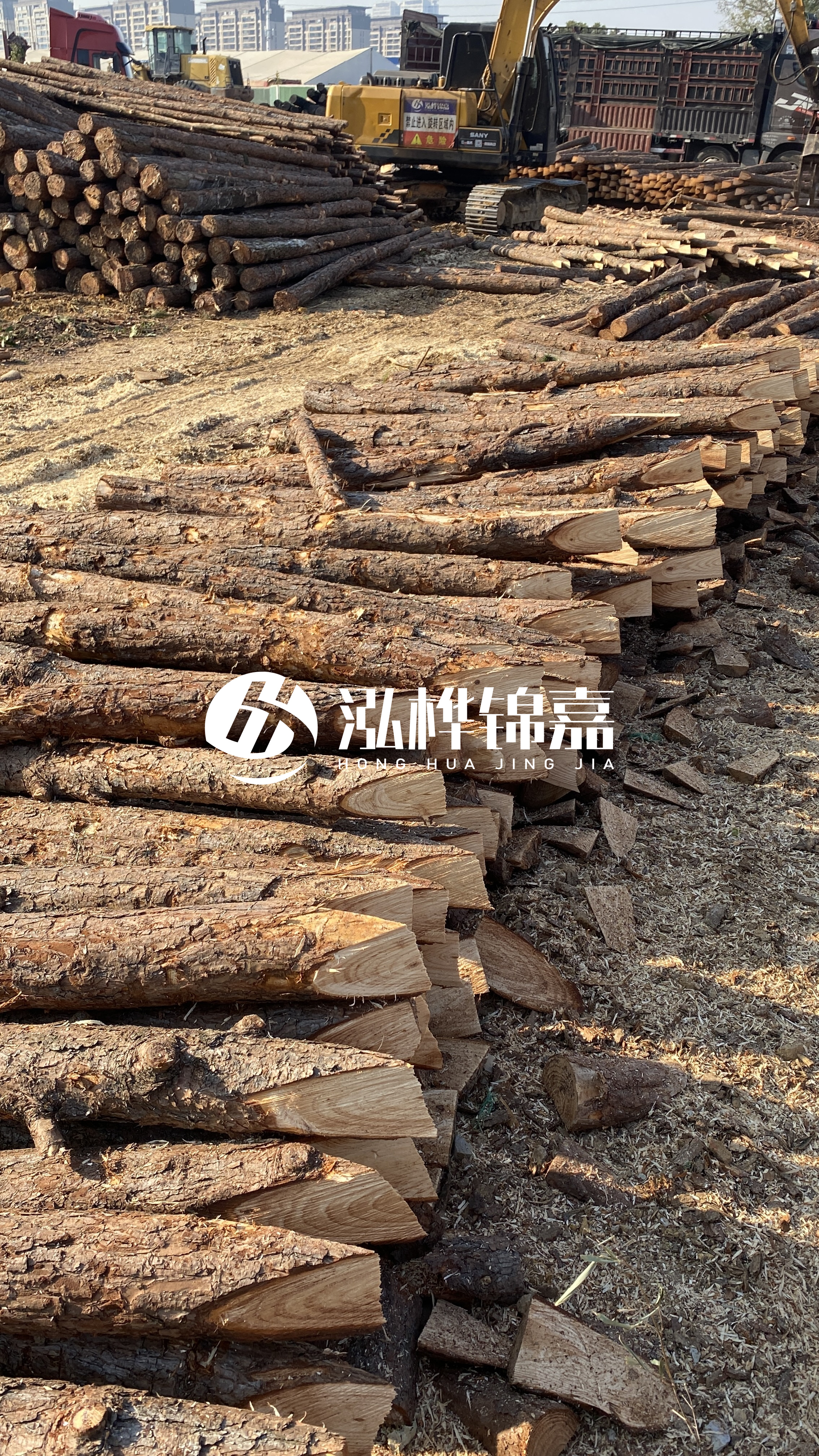 延安松木樁批發(fā)源頭廠家-杉木樁直徑按大頭算嗎？