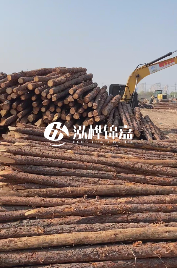 油松用于打樁木到底好不好？讓專業(yè)打樁隊(duì)告訴你！