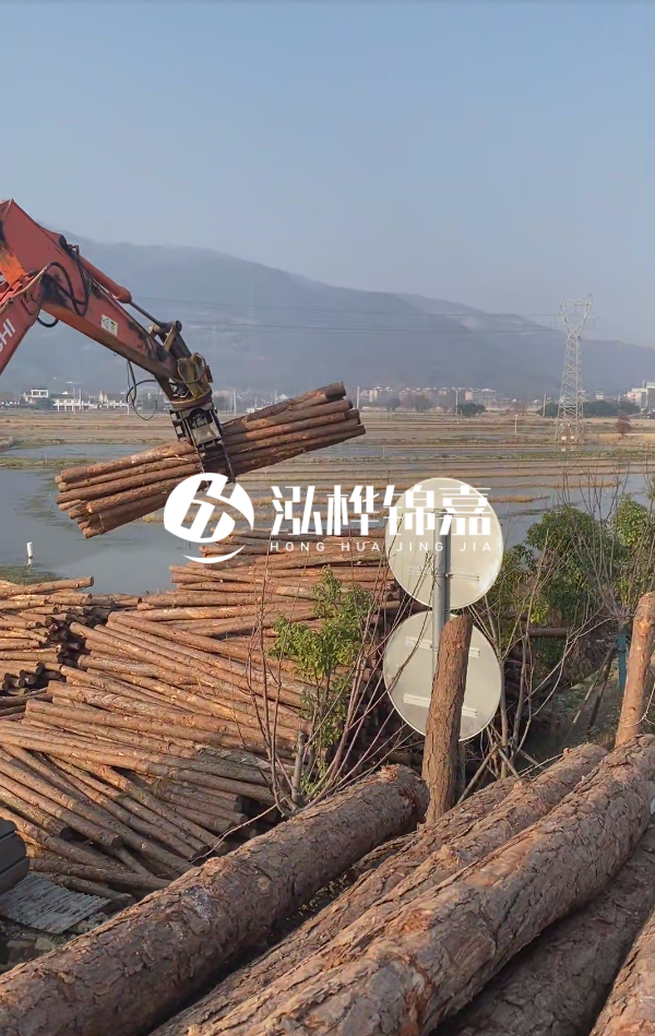 松木樁是否需要削皮呢？松木樁為什么不會(huì)爛掉呢？