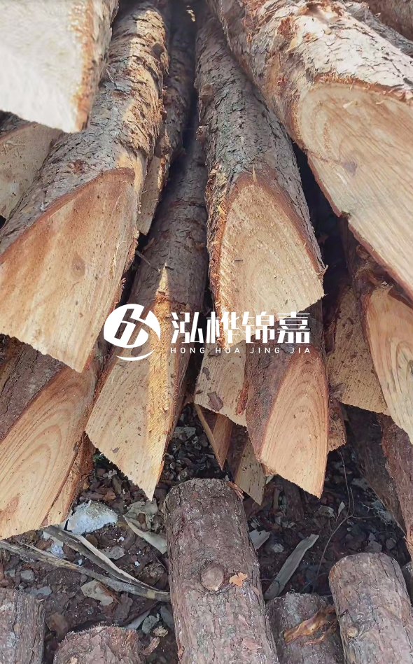 3米杉木樁梢頭12大頭多少？賣多少錢(qián)一根？