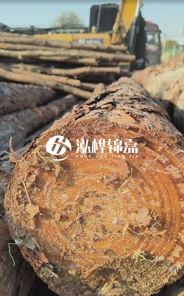 杉木樁價格多少錢一方-3米直徑14公分杉木樁價格？