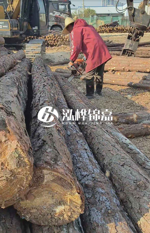 長沙打樁木批發(fā)廠家在哪里？聯系方式是什么？