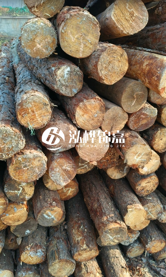 油松3米12公分多少錢一根？油松4米12公分多少錢一根？