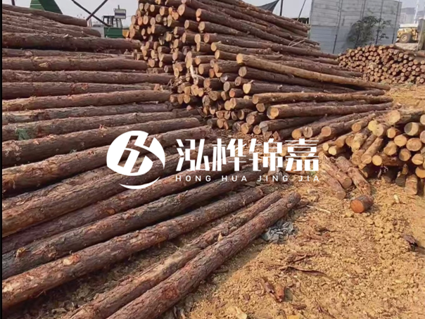 河道木樁施工遇到淤泥怎么辦？打多深才能防沖刷？