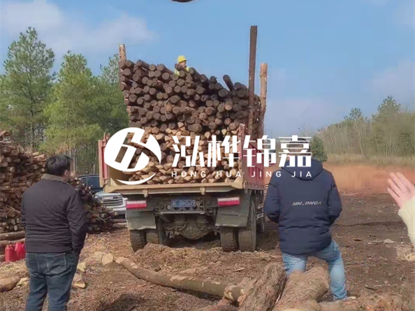 防腐木樁價格比普通木樁貴多少？防腐木樁有哪些處理方式？