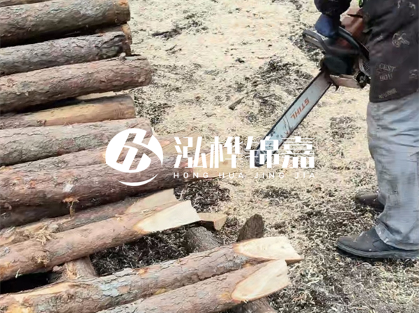 杉木樁批發(fā)廠家哪家好？產(chǎn)地直供渠道推薦！