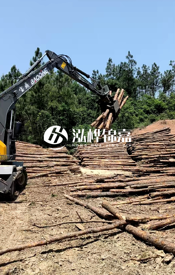 云南4米松木樁批發(fā)價格多少-4米小頭13-15直徑多少錢一根？