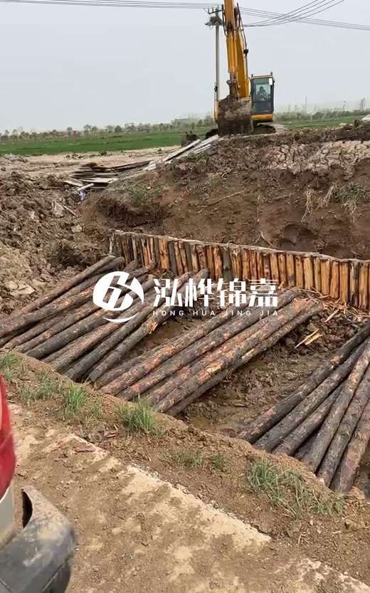 4米直徑12-13油松批發(fā)價(jià)最低多少？報(bào)價(jià)含稅含運(yùn)嗎？