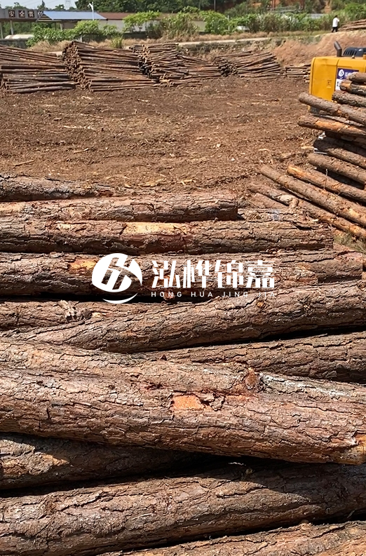 陜西河道木樁源頭廠家泓樺錦嘉-3米大頭11-13厘米多少錢一根？