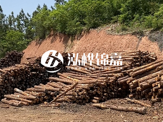 油松打樁木和落葉松打樁木的價(jià)格差異是多少？哪個(gè)性價(jià)比更高？