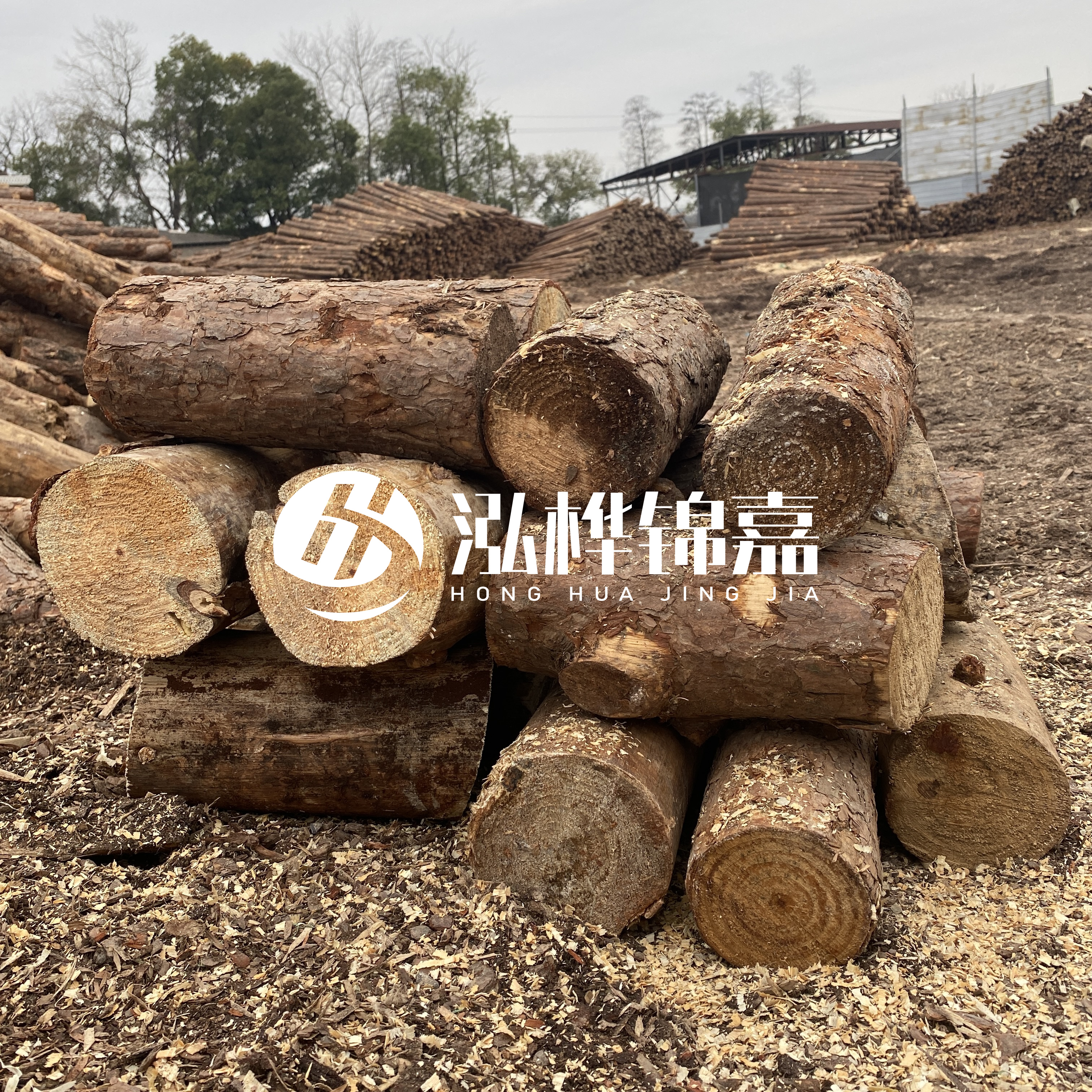 打樁木邊角料能做什么用途？怎么賣的？