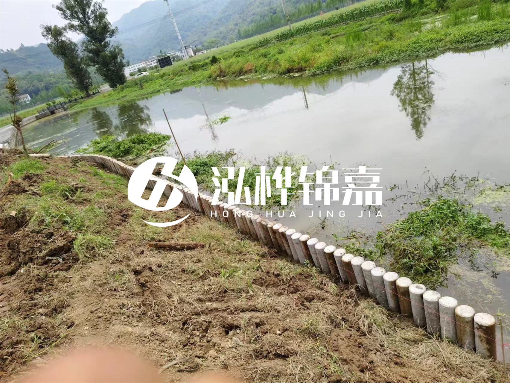 松木樁加固河道與水泥樁對(duì)比如何？哪一種更加適合您？