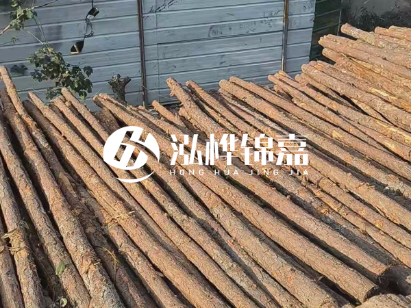 松木樁打樁后清淤怎么處理？有沒(méi)有全包的公司？