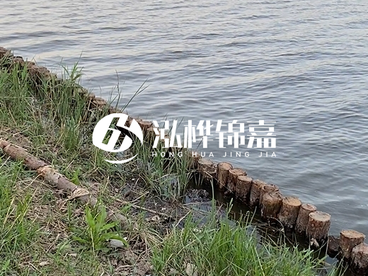 防洪松木樁施工重要性？河道打木樁的位置怎么確定？