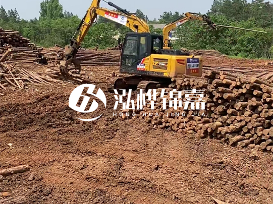 河道松木樁廠家聯(lián)系方式-6米10-15公分價(jià)格是多少？