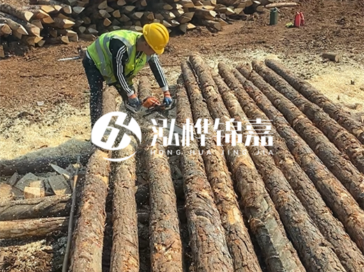 松木樁批發(fā)廠家泓樺錦嘉-河道打樁木施工中怎么防止樁頭被打壞？