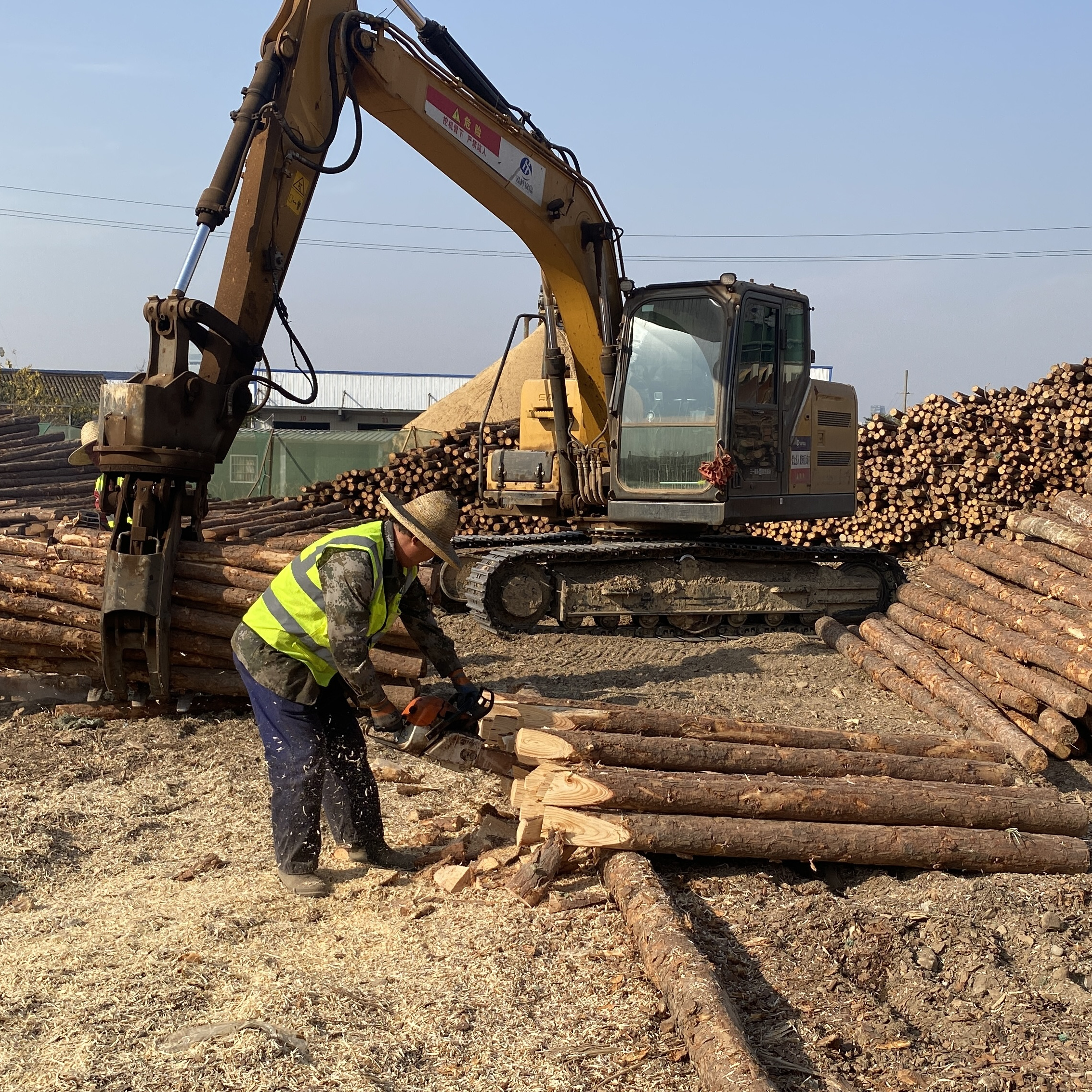松木樁廠家泓樺錦嘉-工程打樁木選擇落葉松還是濕地松更耐腐蝕？