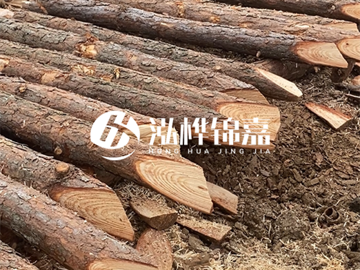 松木樁廠家泓樺錦嘉-河道兩邊打樁是干嘛的？