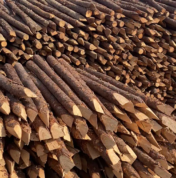 松木樁施工隊(duì)泓樺錦嘉 - 河道駁岸樁的檢測(cè)標(biāo)準(zhǔn)是什么？