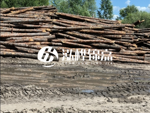 松木樁施工隊(duì)泓樺錦嘉 - 木頭打樁護(hù)岸能用多長(zhǎng)時(shí)間？
